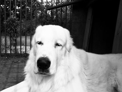 SAM_0020.JPG