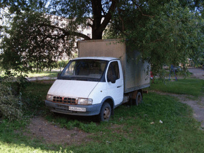 SDC14160.gif