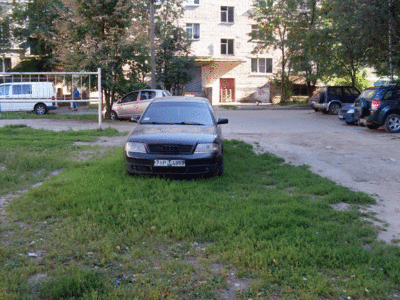 SDC14161.gif