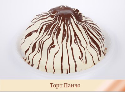 tort_pancho_1_original.jpg