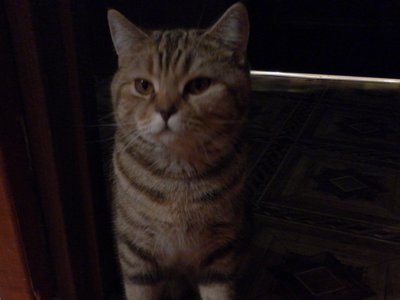 SAM_0315.JPG