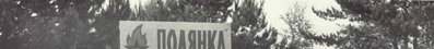 Полянка.jpg